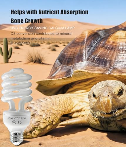 2-Pack E26 Reptile UVB Light Bulb 26W UVA UVB 10.0 | Compact Fluorescent Lamp for Desert Reptiles Bearded Dragon, Tortoise, Lizard Vivarium Kit - size: 26W UVB 10.0