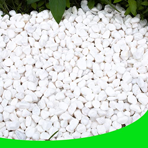 White Pebbles for Plants Garden 18 lb White Rocks Gravel Decorative Stones Landscaping Vase Fillers 1/2" - size: 18LB, style: White