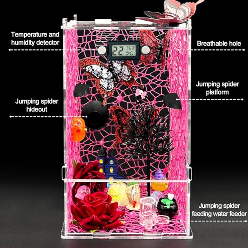 Jumping Spider Enclosure,DIY Insects Habitat,Small Reptile Terrarium Glass House Accessories Set,with Temperature and Humidity Detector Water Feeder Platform Hide,5.5“x5.5”x9.5“ (Pink) - color: Pink