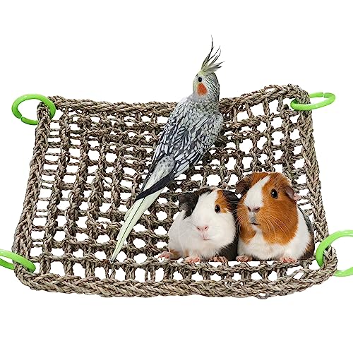 16 x 12 Inches Bird Seagrass Mat, Natural Seagrass Woven Net, Bird Hammock Mat with Hooks, Bird Cage Accessories, Climbing Rope Ladder Chew Toys for Cockatiel Hamster Guinea Pig Rats Hamster Parakeet - size: 16 x 12 Inches