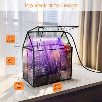 RIFNY Plant Terrarium with Grow Light, Glass Terrarium 8.9 x 5.9 x 9.9 Inch | Terrarium with LED Grow Light and Absorbent Mat for Venus Fly Trap Succulent Live Air Plants Indoor Home Office Decor - size: Black-Large with Plant Light