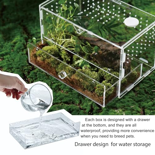 Acrylic Clear Reptile Habitat Enclosure Terrarium with Latch ，Perfect for Amphibians and Invertebrates Such as Spiders, Frogs, etc (Vertical)