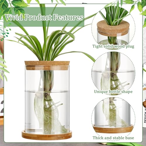 3 Pcs 3 Sizes Plant Propagation Station Separated Glass Plant Terrarium Water Hydroponic Planter Holder with Lid and Wooden Stand Propagation Vase Pot for Home Indoor Office(Common Sizes) - size: Common Sizes