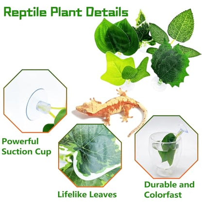 BNOSDM Fake Terrarium Plants for Reptiles, 3-5in, Green, 5PCS | Fake Terrarium Plant with Suction Cup, Jumping Spider Habitat Enclosure Bearded Dragon,Snake, Lizard Accessories - color: Green