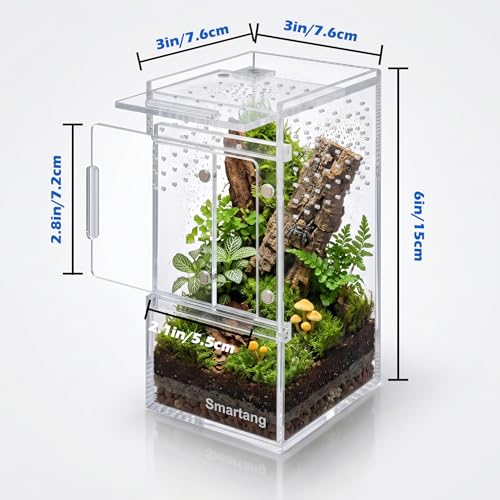 【Pre-Assembled】 Jumping Spider Enclosure(3"×3"×6") Front Above Opening Praying Mantis Habitat, Jumping Spider Habitat, Arboreal Tarantula Enclosure, Insect Terrarium,Acrylic Terrarium - size: 3.0"L x 3.0"W x 6.0"H