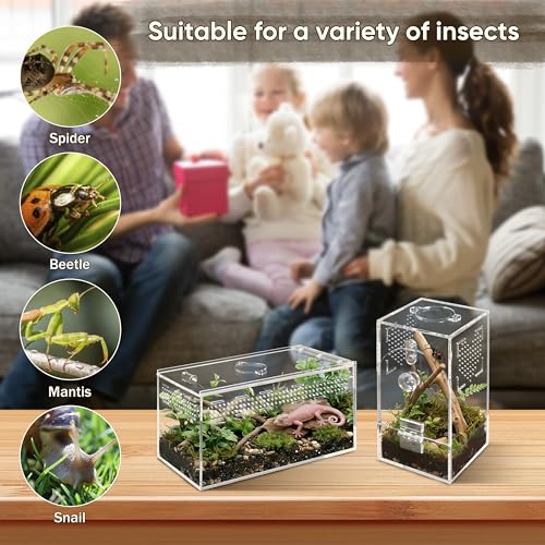 Jumping Spider Enclosure Set, Terrestrial Arboreal Combo, Acrylic Tarantula Terrarium, Praying Mantis Habitat, No Assembly, 2-Size Kit, Medium - size: Medium