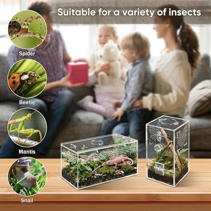 Jumping Spider Enclosure Set, Terrestrial Arboreal Combo, Acrylic Tarantula Terrarium, Praying Mantis Habitat, No Assembly, 2-Size Kit, Medium - size: Medium