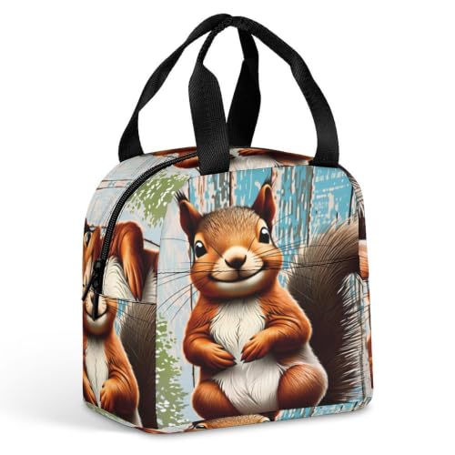 Spring Summer Squirrel Lunch Bag for Women Men | Insulated Lunch Box Leakproof Food Meal Containers Reusable Foldable 6L Capacity Lunch Tote Bags for Work Picnic Travel - color: style-9