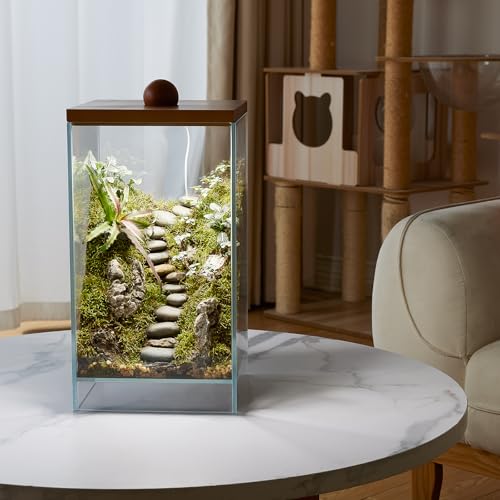 Large Glass Plant Terrarium: 13.7H+7.8W Terrarium with Light | Desktop Propagation Station for Succulent/Moss/Miniature Gardening Landscape/Betta Fish Tank
