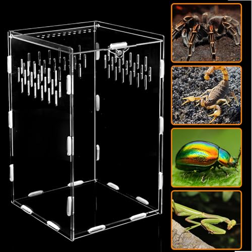 Jumping Spider Enclosure, 10x6x6 Inch Acrylic Reptile Enclosure with Front Door, Large Insect Terrarium Habitat for Jumping Spiders, Praying Mantis, Arboreal Tarantulas - size: 10" x 6" x 6"