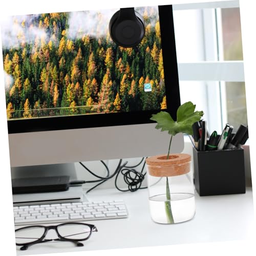 TOYANDONA 2pcs Glass Terrarium Planter Indoor Ecosystem Decoration with Air Circulation for Hydroponic Plants and Moss Home Office Desk Decor