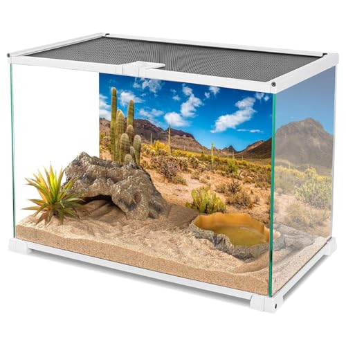48x18 in Reptile Habitat Background Blue Sky Cactus Desert Tank Backdrop | AWERT Desert Oasis Terrarium Background, Vinyl - size: 48x18in/120x45cm