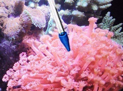 Coral Feeder SPS HPS Feeder, Long and Short Version for Marine Fish and Reef Coral Aquarium (CFT-3) - size: CFT-3