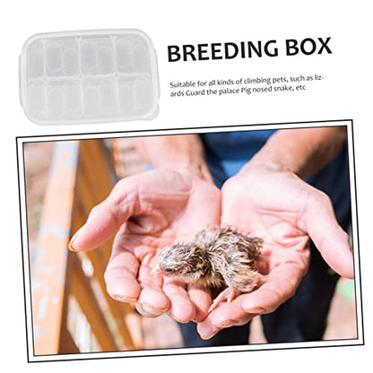 DOITOOL Practical Compartment Reptile Egg Incubator Box for Lizard and Gecko Hatching Transparent Design Lightweight and Durable for Pet Breeding and Scientific Research - color: White