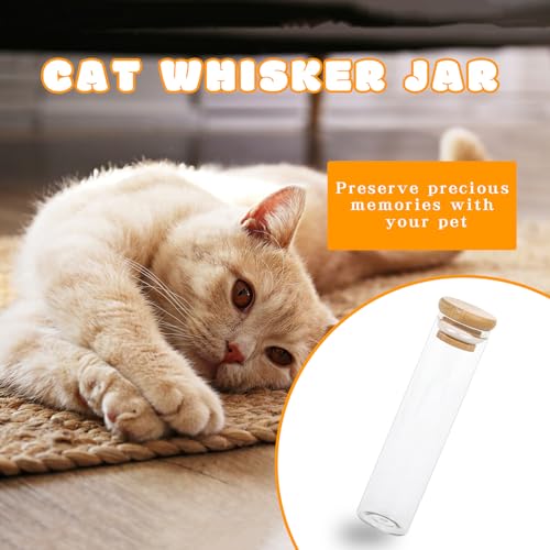 Klmnop 2 Pack Cat Whisker Jar, Transparent Glass Cat Whisker Vase with Sealed Bamboo Lid, Cat Whisker Collector Cat Whisker Holder Loss of Cat Sympathy Gift(Clear)