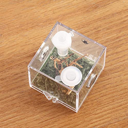 Jumping Spider Micro Big Habitat, Small Pet Insect Breeding Box, 360 Degree High Transparent Reptile Cage, Acrylic Case Mini Carrier for Amphibians, Feeding Container Enclosure Accessories