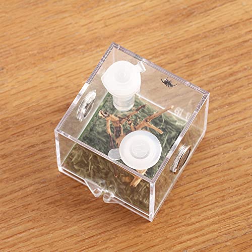 Jumping Spider Micro Big Habitat, Small Pet Insect Breeding Box, 360 Degree High Transparent Reptile Cage, Acrylic Case Mini Carrier for Amphibians, Feeding Container Enclosure Accessories