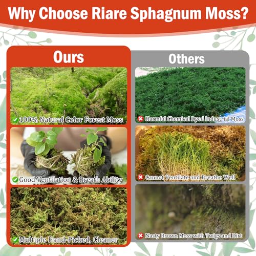 Riare 3.88OZ Premium Sphagnum Moss for Plants- 4QT Natural Dried Plant Moss | Moisture Retention & Drainage Orchid Moss for Repotting, Succulents, Carnivorous, Ferns, Green Moss for DIY Craft, Reptiles - size: 4 QT(Appx.3.88oz)
