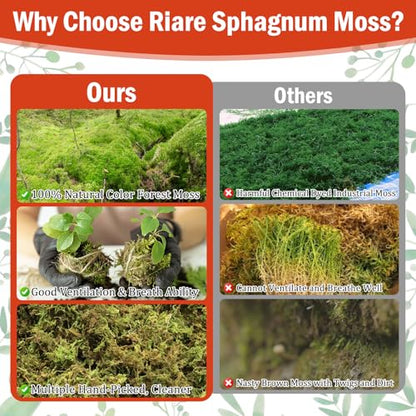 Riare 3.88OZ Premium Sphagnum Moss for Plants- 4QT Natural Dried Plant Moss | Moisture Retention & Drainage Orchid Moss for Repotting, Succulents, Carnivorous, Ferns, Green Moss for DIY Craft, Reptiles - size: 4 QT(Appx.3.88oz)