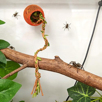Jumping Spider Rope Bridge Jumping Spider Hides Enclosure Accessories | A Solid Wood Climbing Suspension Bridge, a Spider Jump Platform, Used As a Decorative Accessory for Small Reptile Enclosures