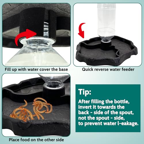 9oz Reptile Water Bottle, Turtle Food and Water Bowl Automatic Feeders Waterer Tortoise Dispenser Bottle Feeding Dish for Lizard Chameleon - color: Black