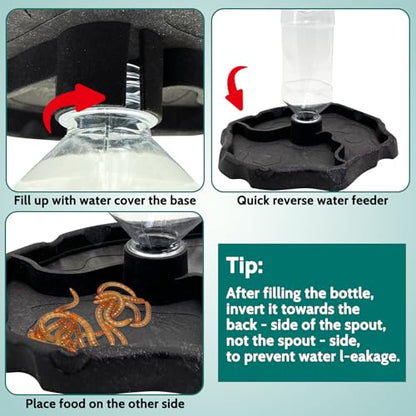 9oz Reptile Water Bottle, Turtle Food and Water Bowl Automatic Feeders Waterer Tortoise Dispenser Bottle Feeding Dish for Lizard Chameleon - color: Black