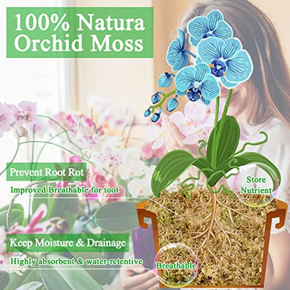 1.3LB Sphagnum Moss for Plants- 25QT Natural Long Fibers Orchid Moss | Moisture Retention & Drainage Balance, Plant Moss for Orchids, Succulents, Carnivorous, Ferns, Reptile Bedding & Terrariums - size: 25 QT(1.3 lb)