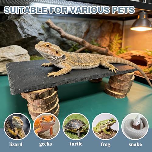 Bearded Dragon Basking Rock Platform with Wooden Pile,Natural Slate Stone Rocks Basking Platform,Habitat Hideouts Hide Cave Reptile Tank Accessories for Bearded Dragons,Geckos,Ball Pythons, Tortoise