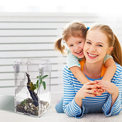 BETAZOOER Large Acrylic Reptile Tank Habitat Locking Terrarium 8''x6''x14'' - size: Large