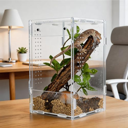 5x5x8 Acrylic Reptile Enclosure - Clear Small Pet Terrarium | Distortion-free all-acrylic build with top and side ventilation for clear observation - size: 5"5"8"