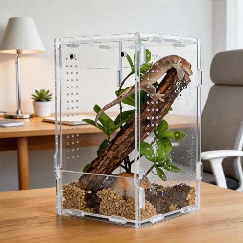 5x5x8 Acrylic Reptile Enclosure - Clear Small Pet Terrarium | Distortion-free all-acrylic build with top and side ventilation for clear observation - size: 5"5"8"