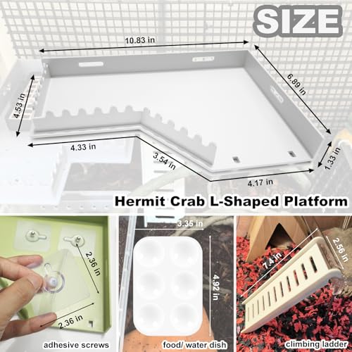 Hermit Crab Accessories - Platform with Ladder and Food Dish, Hermit Crab Climbing Toys, Habitat Supplies and Tank Accessories for Reptiles, Hamsters, Geckos, Small Lizards - color: White