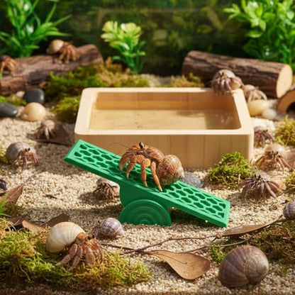 Hermit Crab Seesaw Climbing Toy, Hermit Crab Tank Decoration Ornament
