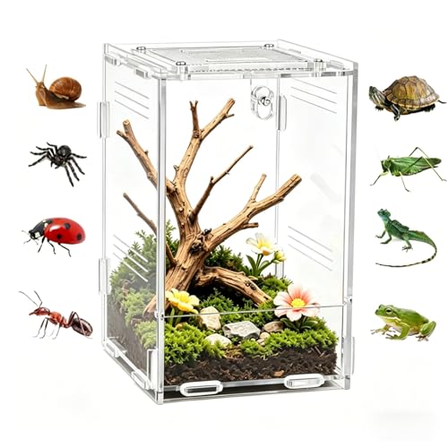 Vertical Acrylic Terrarium, 4.5" x 3.9" x 6.5" Clear Small Pet Enclosure with 304 Stainless Steel Mesh Top, Waterproof Base, Secure Door for Jumping Spider, Tarantula Sling and Small Invertebrates