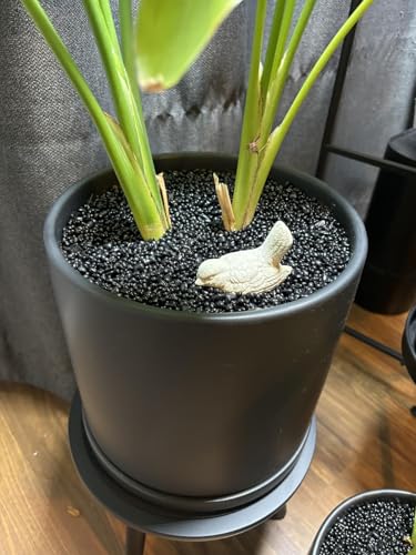 SOUJOY 3 LB Small Aquarium Substrate Gravel Sand, Polished Smooth Fish Tank Gravel, Black Crystal Chip Stone, Natural Decorative Mini Pebbles for Potted Plant, Vase Fillers, Fish Tank Rock