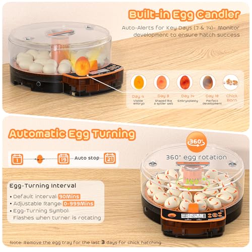 AsFrost Automatic Incubators for Hatching Eggs, 24 Egg Incubator,Upgrade Digital Incubator with Dual Modes,Temp & Humidity Control,Auto Turner, Egg Candler, Incubator for Hatching Quail & Poultry Eggs