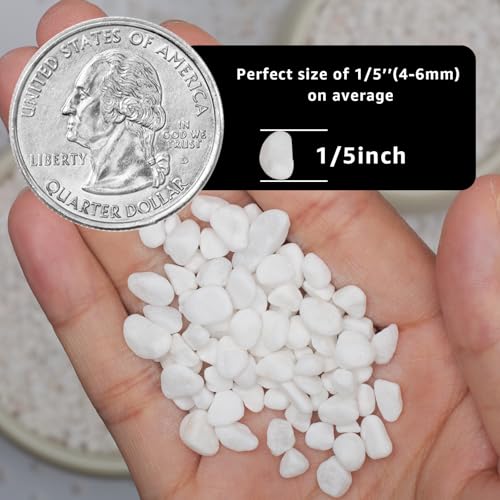 2lbs Natural Gravel Pebbles for Succulents and Cacti, 1/5 Inch Decorative River Stones – Perfect for Vases, Aquariums, Terrariums, and Outdoor Gardening, Mixed Colors (White, 2 Pounds) - color: White, size: 2 Pounds