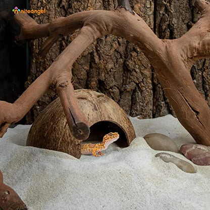 2 Pack Natural Coconut Reptile Hideouts, Lizard, Spider and Aquarium Fish Hide Cave (Smooth Surface) - color: Smooth Surface
