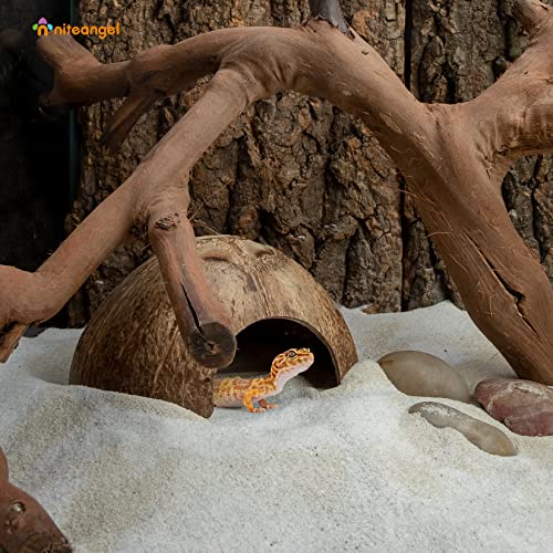 2 Pack Natural Coconut Reptile Hideouts, Lizard, Spider and Aquarium Fish Hide Cave (Smooth Surface) - color: Smooth Surface