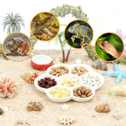 Eiito Reptile Food Bowl,Hermit Crab Lizard Gecko Ceramic Food Dish, 7 Compartments Anti-Turning Bearded Dragon Food & Water Bowl with Small Brush (White)