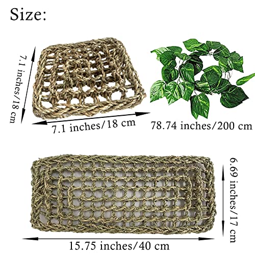 4 PCS Bearded Dragon Hammock,Lizard Lounger Reptile Natural Seagrass Hammocks Climb Vines Plant Decoration Terrarium Accessories for Lizards Chameleon Gecko Snakes Crown Geckos