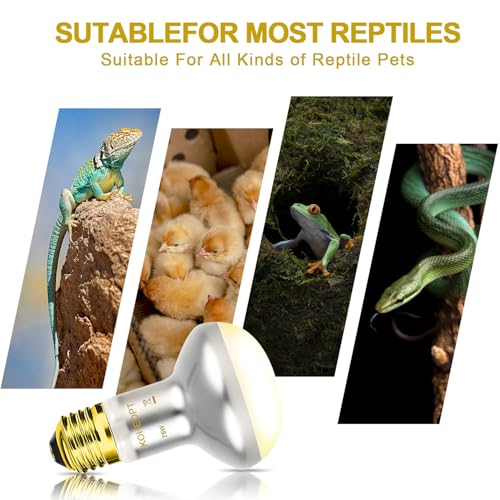 Reptile Heat Lamp 75W,(2 Pack) Heat Emitter UVA Heat Lamp Bulb,Intense Basking Spot Simulated Natural Sunlight Heating Lamp Bulb,Fit E26 Pet Lighting fixtures,for Bearded Dragon, Lizard
