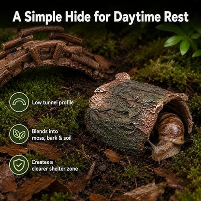 Pet Snail Hideout and Climbing Bridge Set for Terrarium Habitat Decor (Hideout) | Low-Profile Bark-Style Hideout and 17 cm Bridge for Natural Resting and Crawling Routes