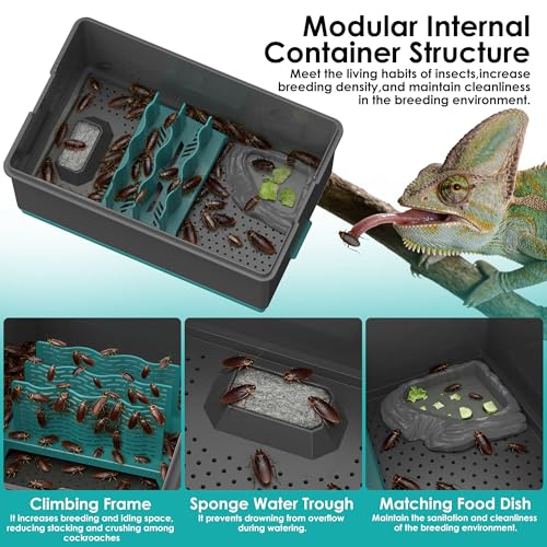 Self-Cleaning Reptile Feeder Insect Habitat with Escape-Proof Lid, Removable Climbing Frame, Water Sponge & Bug Spoon – Cricket/Roach Enclosure, Easy-Clean, Ventilated for Lizards, Frogs & Pets