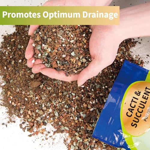 Succulent & Cactus Soil Potting Mix 10qt, Chunky Dirt with Fast Draining Fits for Bonsai, Terrarium and Houseplant - color: Succulent & Cactus Soil, size: 10qt