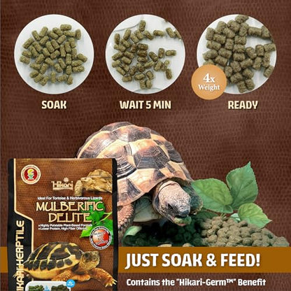 Hikari Mulberific Delite Tortoise Food & Iguana/Herbivorous Lizard Probiotic Pellets (650g)