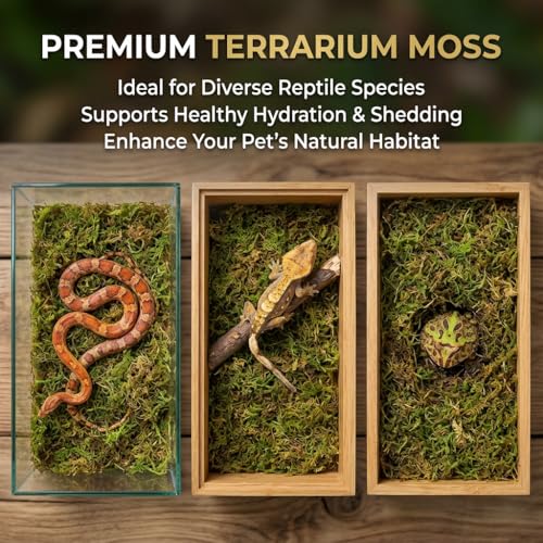 Sukh Sphagnum Moss for Reptiles - Terrarium Reptile Moss Substrate, 11.2 OZ | Habitat Bedding for Snake, Gecko, Turtle, Frog, Bearded Dragon, Jumping Spider, Chameleon, Enclosure & Tank Accessories Decor - size: 11.2 Ounces