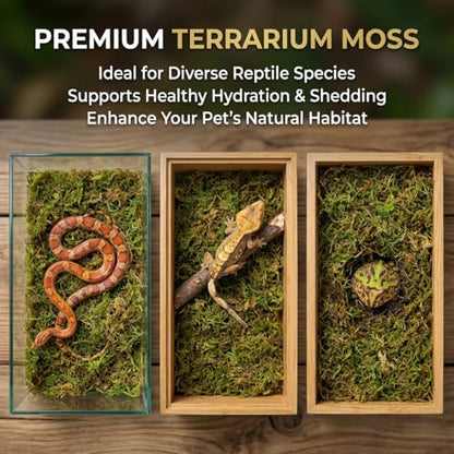 Sukh Sphagnum Moss for Reptiles - Terrarium Reptile Moss Substrate, 6.3 OZ | Habitat Bedding for Snake, Gecko, Turtle, Frog, Bearded Dragon, Jumping Spider, Chameleon, Enclosure & Tank Accessories Decor - size: 6.3 Ounces