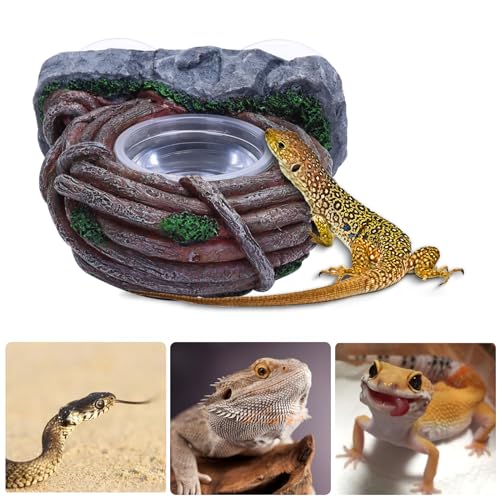 AIICIOO Vine Reptile Feeding Ledge Pet Food Bowl Water Dish Amphibian Feeder Bowl Reptile Terrarium Decor for Bearded Dragon Lizard Snake Frog Gecko Tortoise Hermit Crab - size: Vine Single Feeder