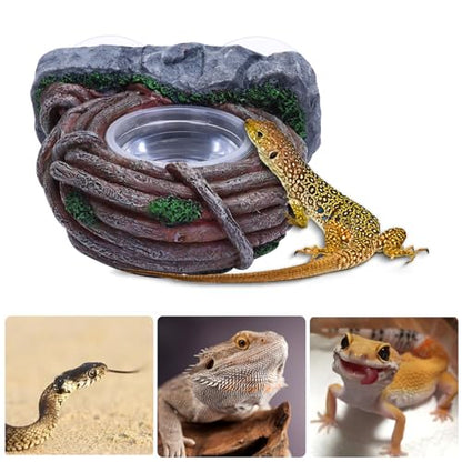 AIICIOO Vine Reptile Feeding Ledge Pet Food Bowl Water Dish Amphibian Feeder Bowl Reptile Terrarium Decor for Bearded Dragon Lizard Snake Frog Gecko Tortoise Hermit Crab - size: Vine Single Feeder
